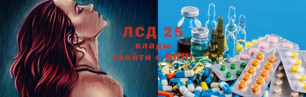 дживик Абаза