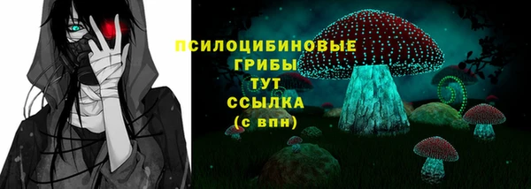 дживик Абаза