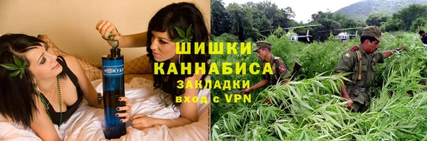 дживик Абаза