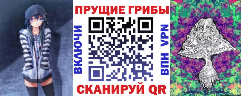 Псилоцибиновые грибы GOLDEN TEACHER купить наркоту нарко площадка наркотические препараты Североморск